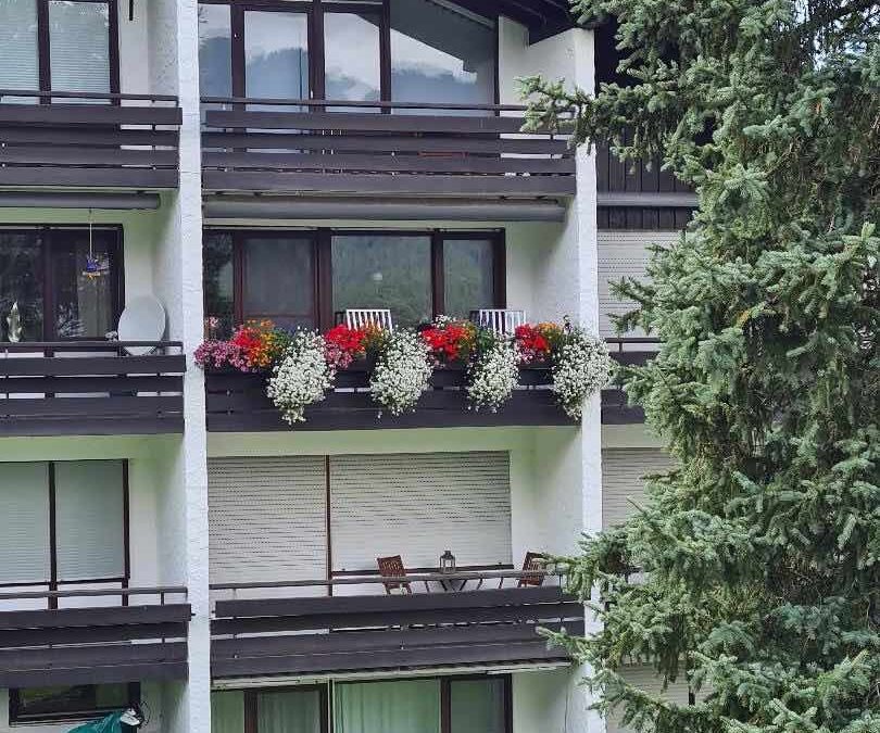 Helle moderne 2,5 Zimmer Wohnung mit freiem Bergblick in Oberstaufen – Steibis Erst- und Zweit WE